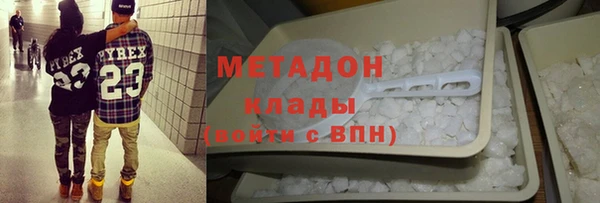 сатива Беломорск