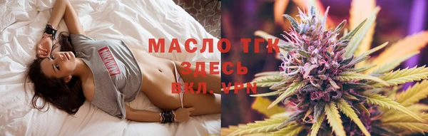 сатива Беломорск