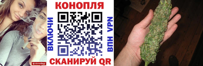 Бошки Шишки OG Kush  закладка  Петропавловск-Камчатский 